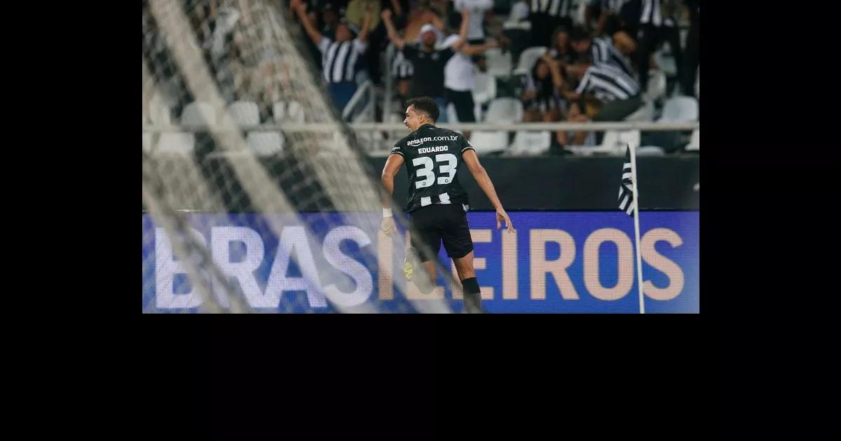 Veja o que alguns comentaristas falaram sobre vitória do Botafogo na estreia do Brasileirão