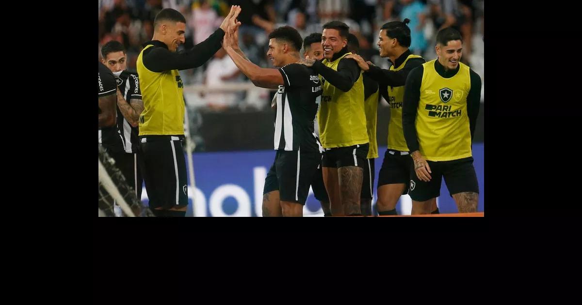 Botafogo está voando no Brasileirão; veja curiosidades e informações