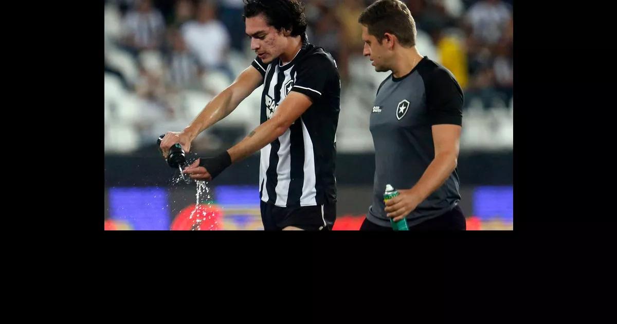 Botafogo Hoje: 5 rapidinhas com informações do Glorioso