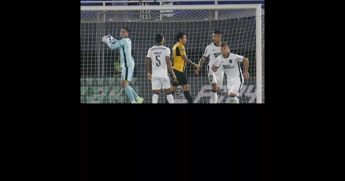 Botafogo nas Quartas de Final da Copa Sul-Americana!