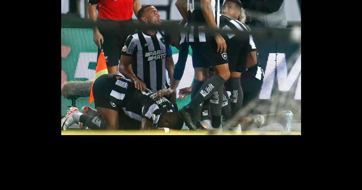 Botafogo enfrenta derrota surpreendente contra o Palmeiras: Uma análise do comentarista Henrique Fernandes