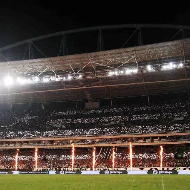 Como funciona Gratuidade no Estádio Nilton Santos em jogos do Botafogo