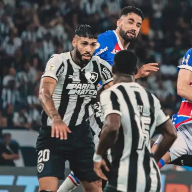 Botafogo Reflete Determinação e Sucesso em Campo e Fora Dele em 2024