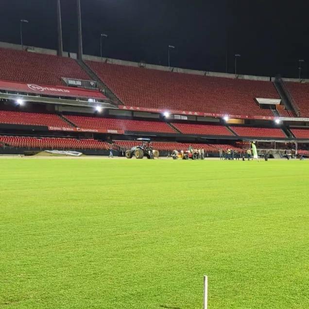 Ingressos São Paulo x Botafogo no Morumbi: Veja como comprar